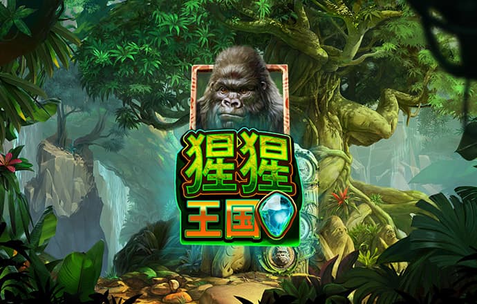 8x8小皇冠国产